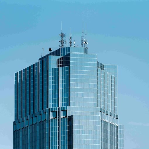 pexels-scottwebb-1190897-min